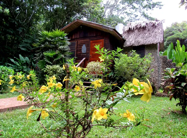 Macaw Bank Jungle Lodge