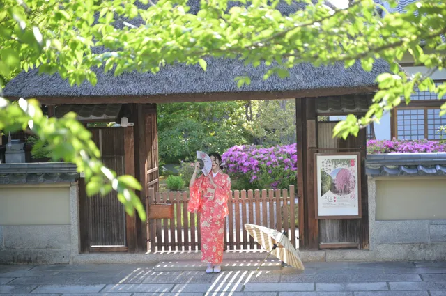 楓雅着物レンタル Rental kimono