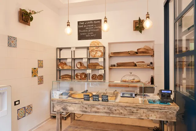 Tondo forno radicale