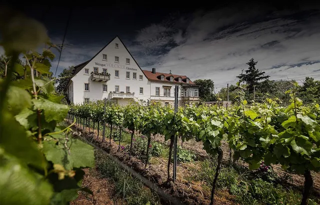 Weingut & Gästehaus Völcker