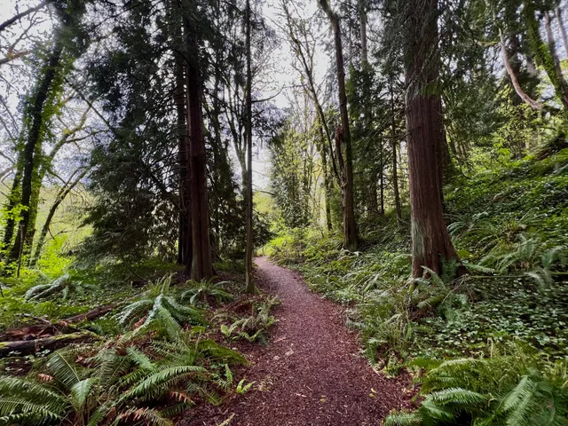 McTavish-Woodridge Open Space Trail