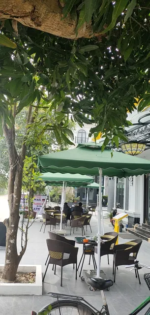 Cafe Sen Việt