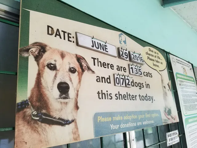 PAWS Animal Rehabilitation Center