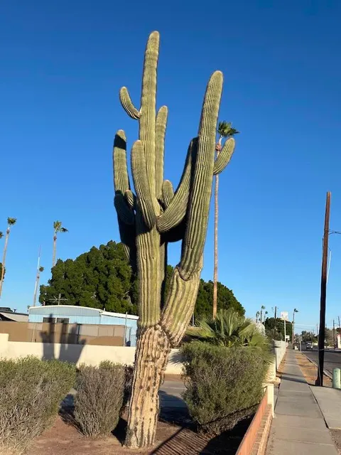 Lazy S Roadrunner RV Parks