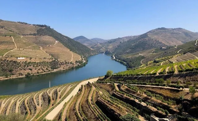 Vale do Douro