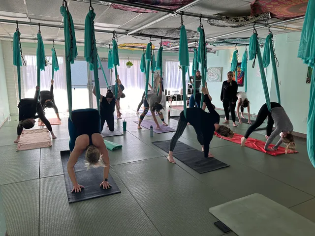 Mindful Movement & Wellness