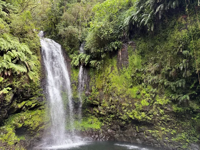 Montagne d'Ambre National Park