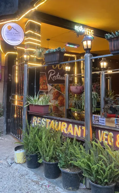 Collection O Mount N Woods