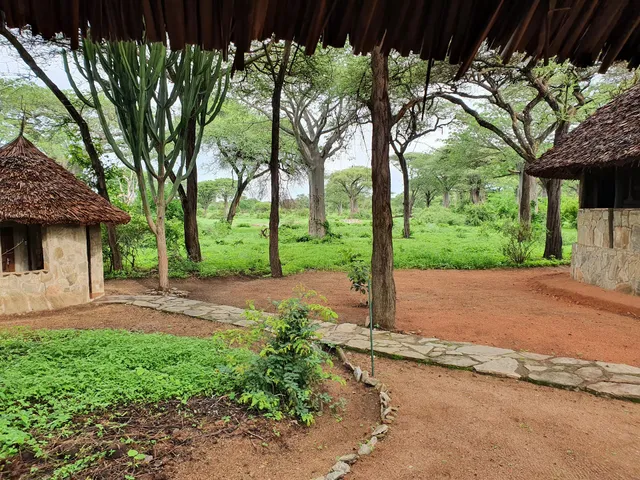 Tandala Tented Camps & Safaris Ltd.