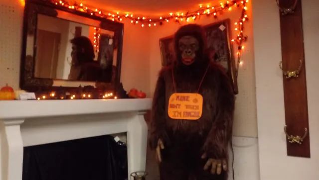 Yvonne Marie's Antique Mall