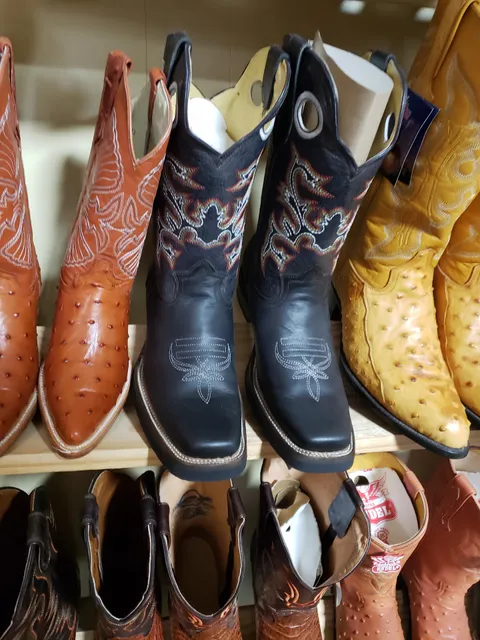 Maldonado Western Express