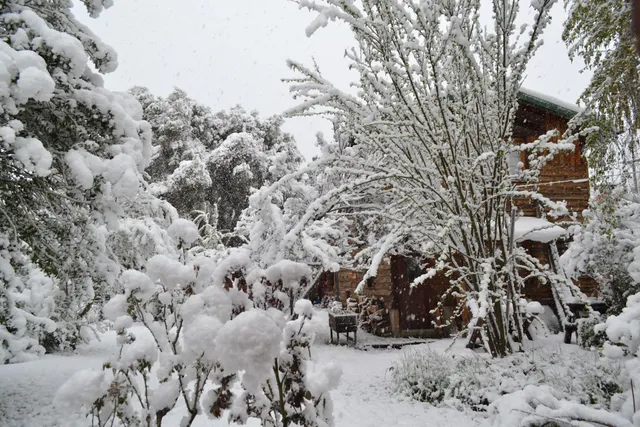 Pai Pay Calido y Confortable Bungalow