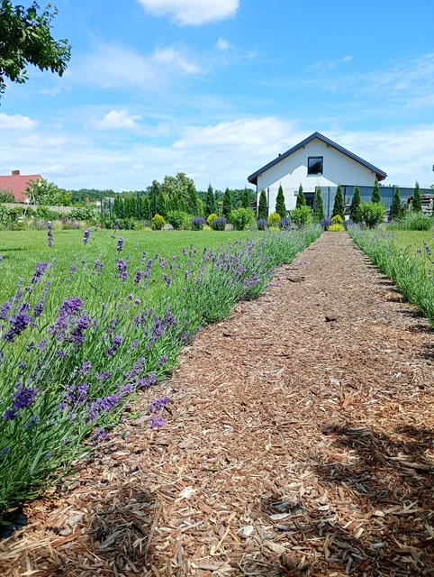 Gołuchów Noclegi Pod Lipami
