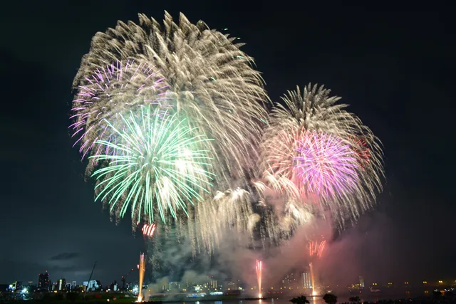 Arakawa Nishiarai Bridge Green Space