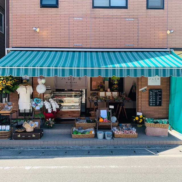 ハレトキ 晴レ時々野菜