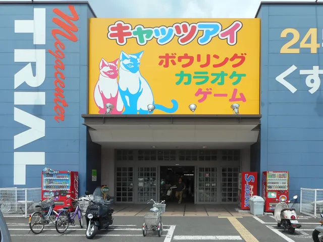 Kyattsuai Yachiyoten