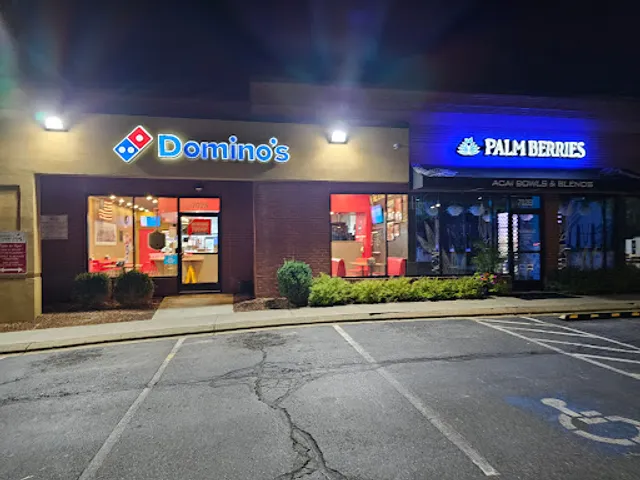 Domino's Pizza