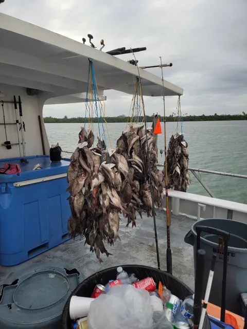 Queen Fleet Deep Sea Fishing