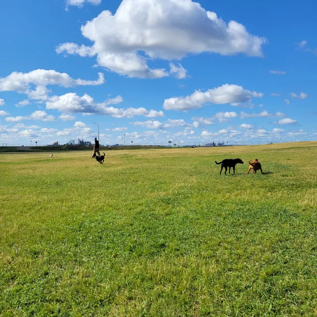 Airport Dog Park 1