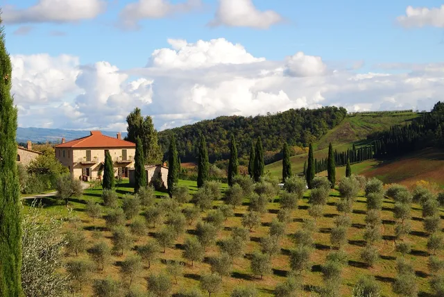 Fattoria Voltrona San Gimignano