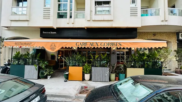 Gare Aux Gorilles