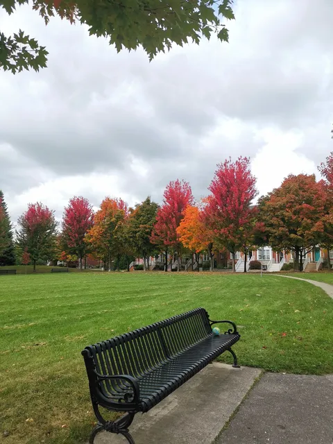 Angus Glen Village Green