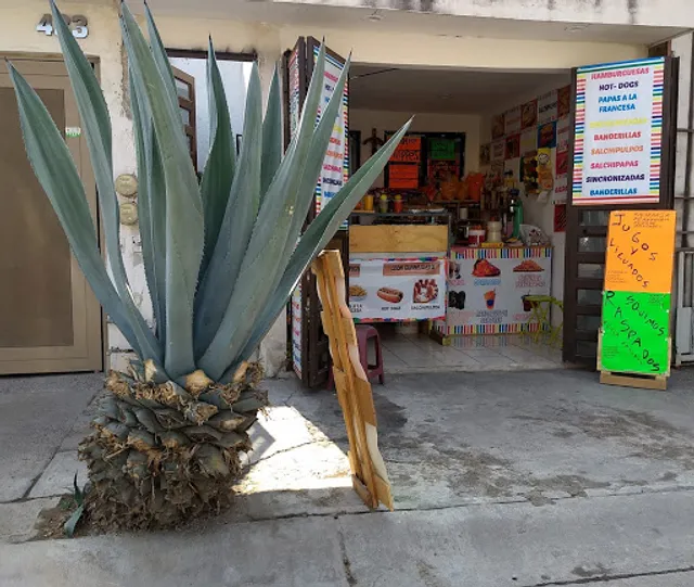 FUENTE DE SODAS , EL MAGUEY