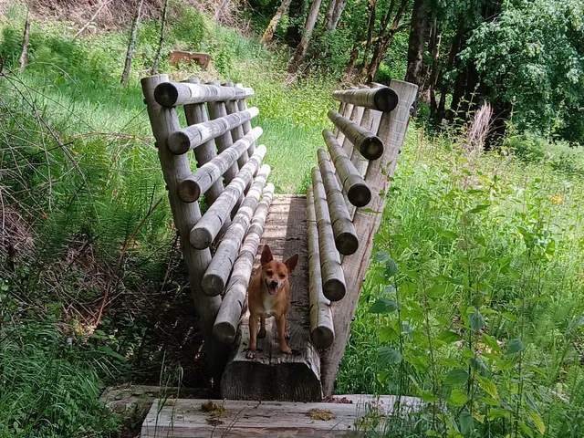 Cougar Park & Campground