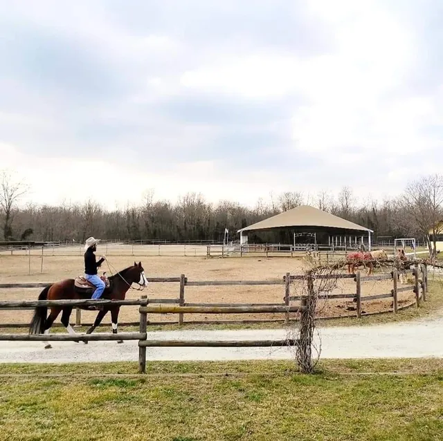 BOSQUEY RANCH - Maneggio e Bed & Breakfast - Biella Vercelli Piemonte