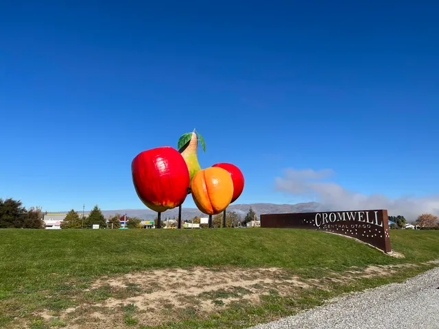 Big Fruit Reserve Playground