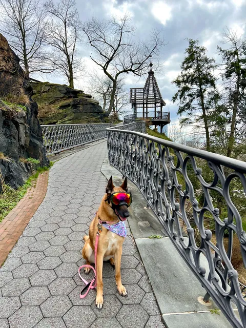 The Treehouse in the Sky