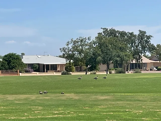 Willow Creek/WIllow Brook-Sun City Arizona