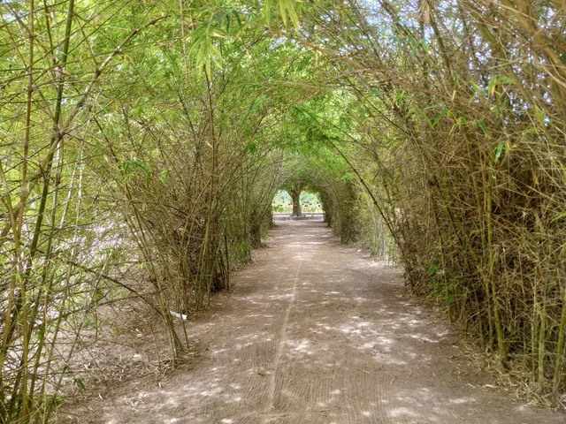 Jardin d'essai - Fondation Zinsou