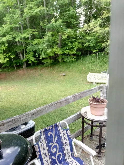 Maples Restaurant & Tavern