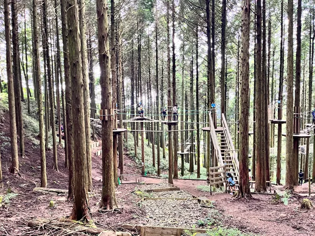 六甲山アスレチックパークGREENIA（メインエリア）