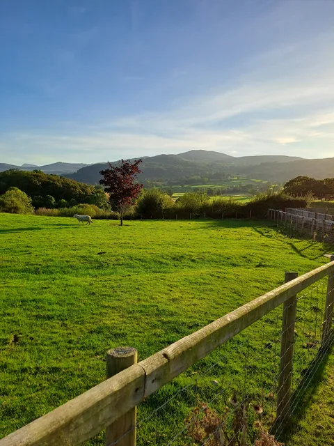 Bryn Dowsi Holiday Cottages