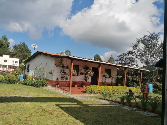Finca la maria