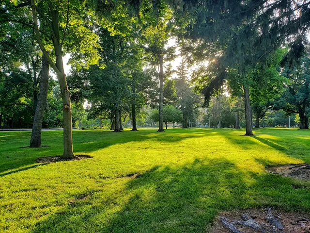 Saint Mary's College