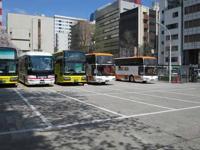 Tsukiji Tourist bus parking lot (ichibashi)