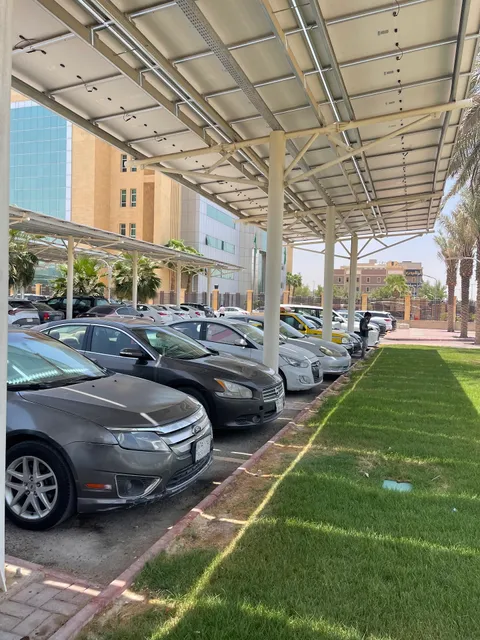 Riyadh Zoo parking space