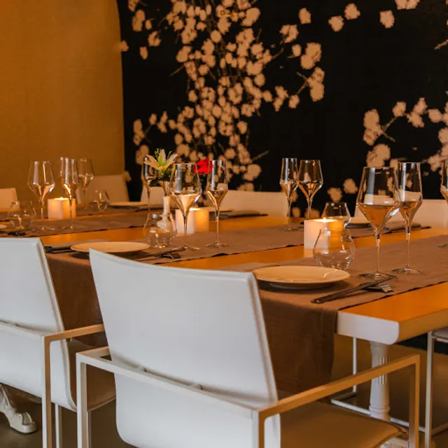 Sakura Fusion Experience