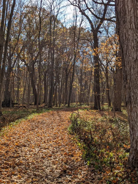 Edward L. Ryerson Conservation Area Welcome Center