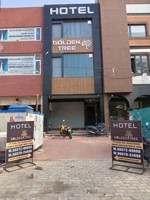 Hotel golden tree