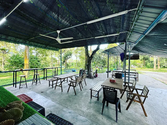 Wong Durian House 黄家果园