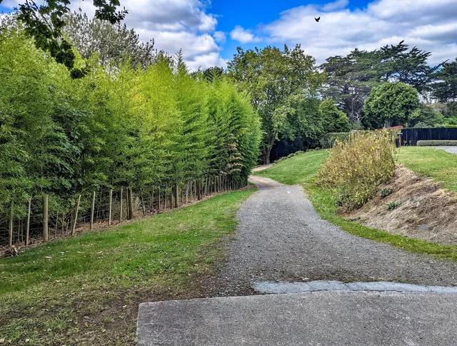 Nature Reserve River Trail