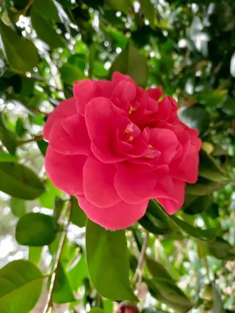 Reedsport Disc Golf Course