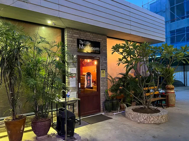 The Little Mushroom Coffee