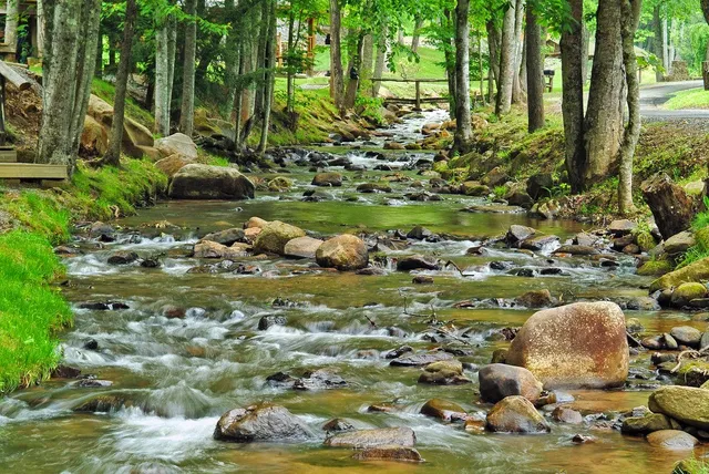 Lands Creek Log Cabins