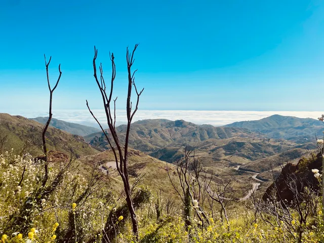 Sandstone Peak Trailhead