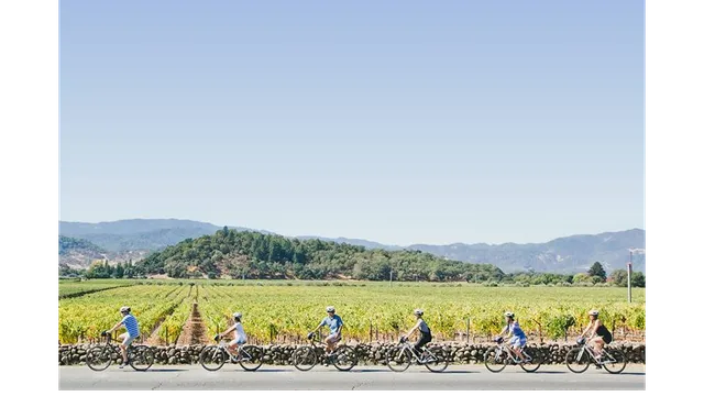 Napa Valley Bike Tours & Rentals